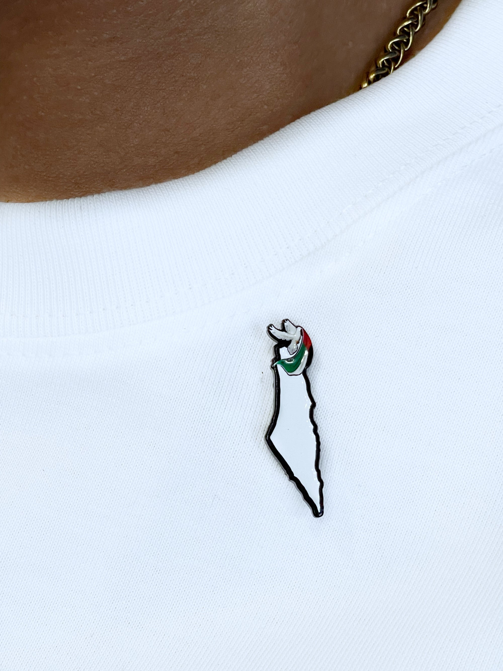 PALESTINE-PIN (ANSTECKER)