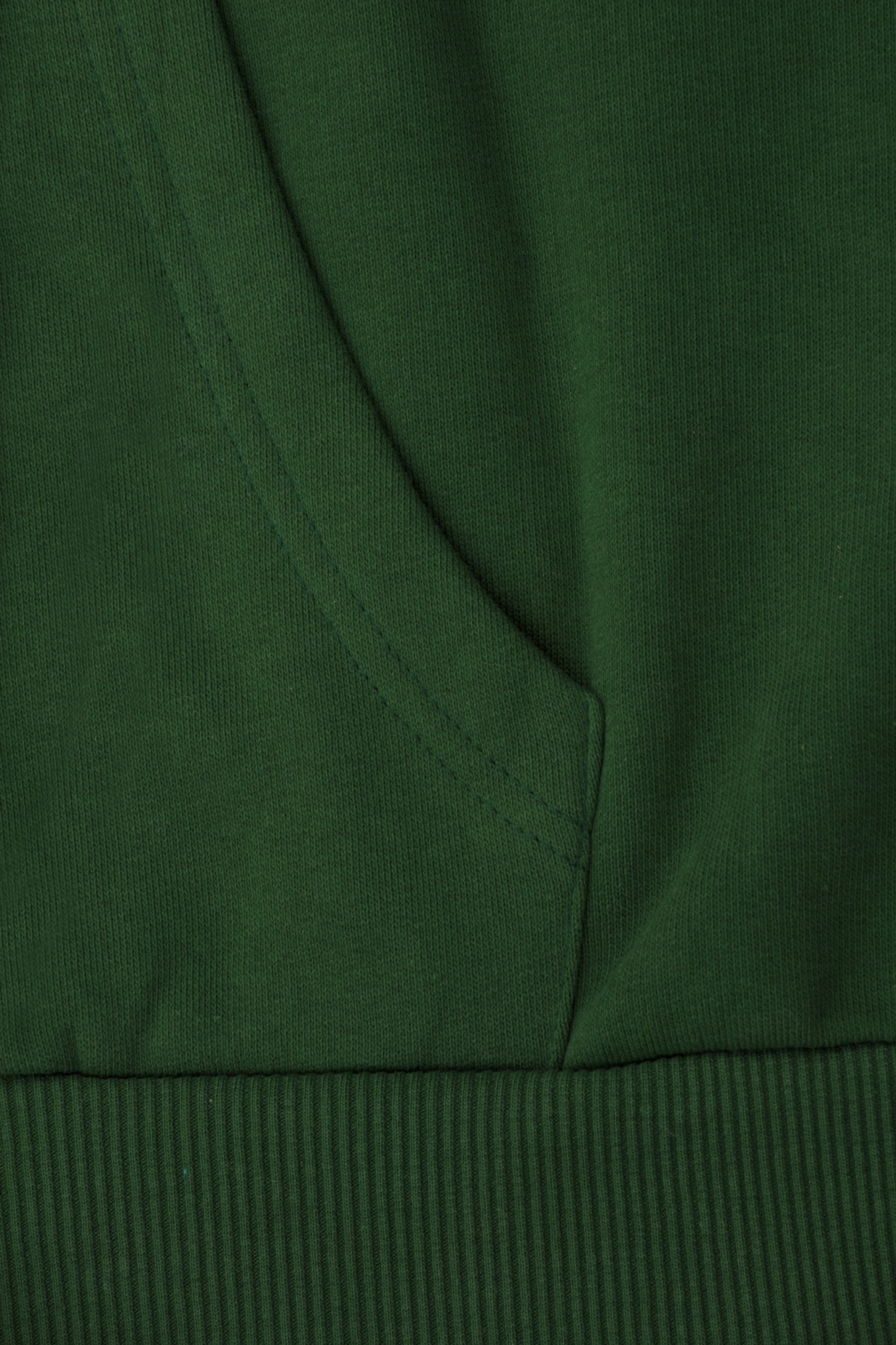 Hoodie “Palestine” GREEN